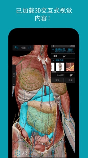 人体解剖学图谱