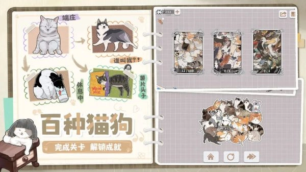 挤在一起的猫猫2025图3