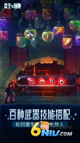 重生细胞(无需付费)图3