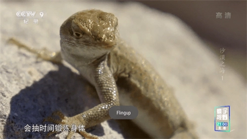 星火电视2025最新版