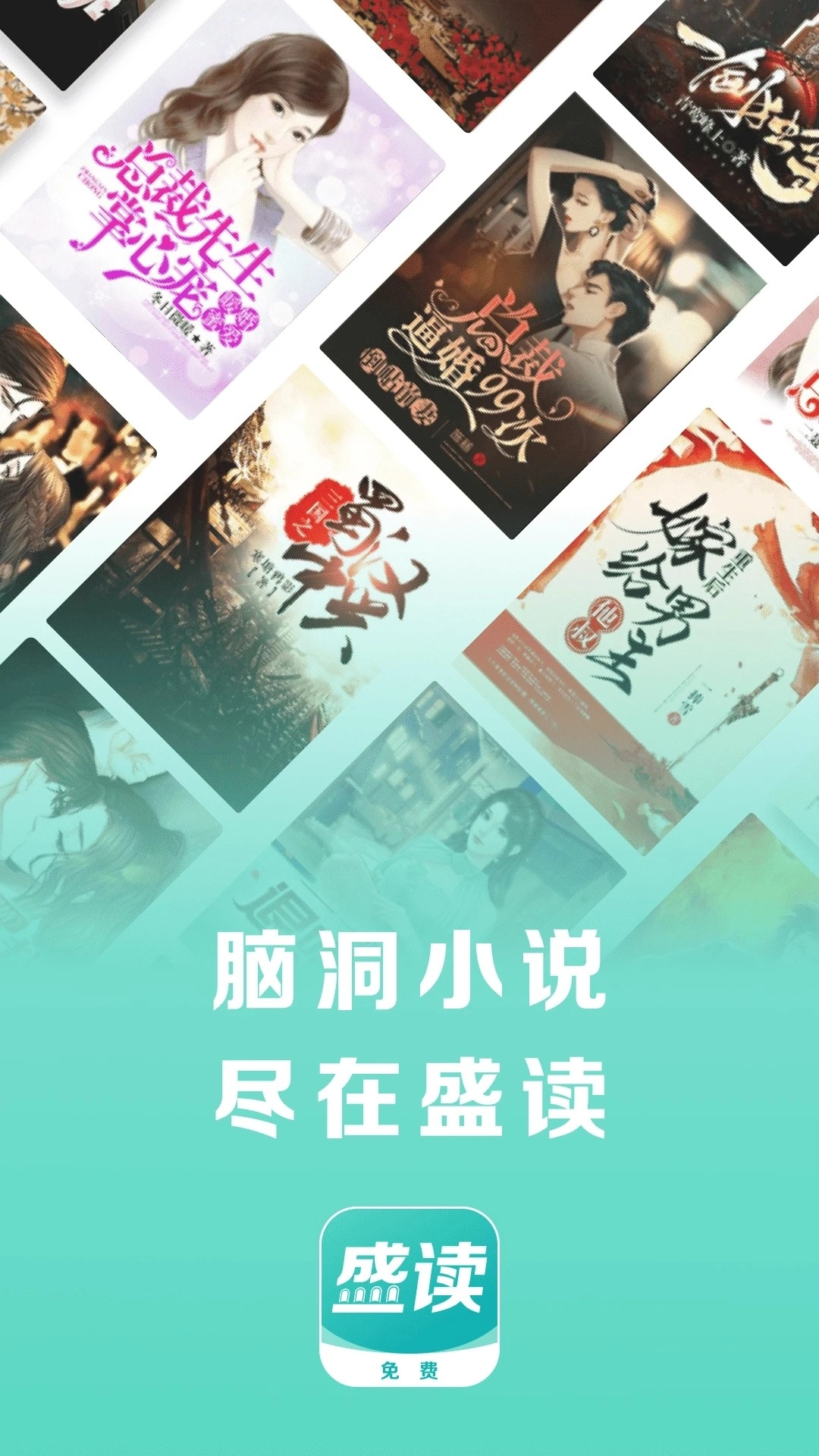 盛读小说安装最新版截图3