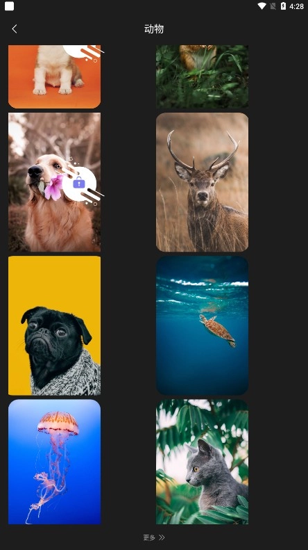 我的桌面壁纸最新版图3