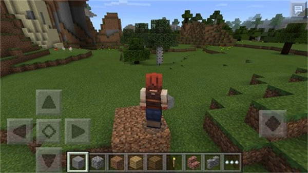 我的世界内存超小版(3)
