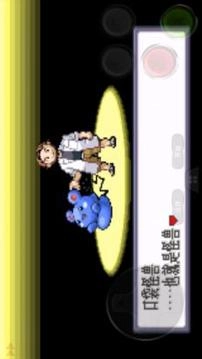 口袋妖怪红宝石中文版图2