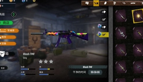 皇家吃鸡战场最新版图4