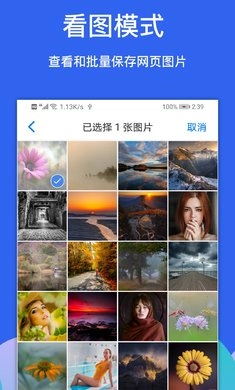 Alook浏览器安卓版图4