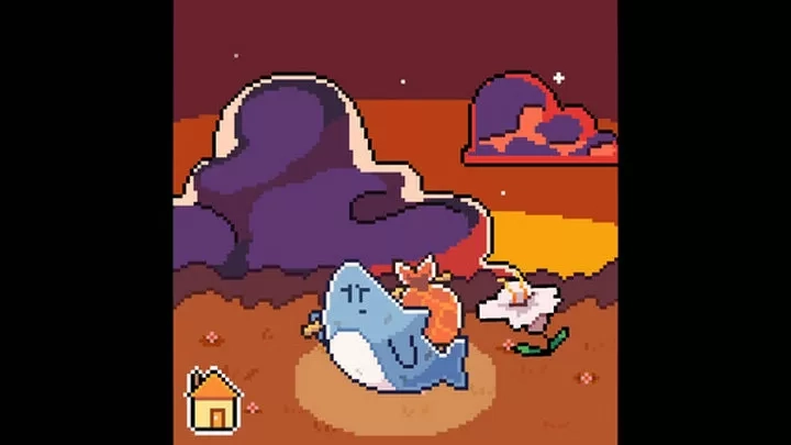 我的可爱小鲨鱼1