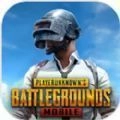 pubg地铁逃生安卓版