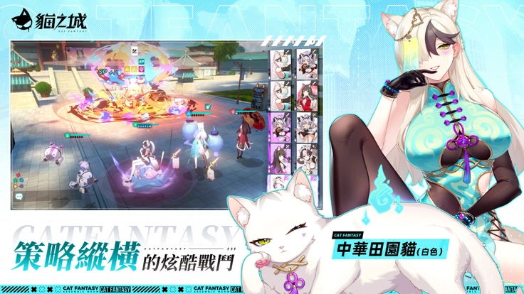 猫之城国际服4