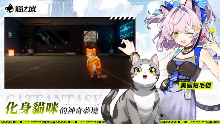 猫之城国际服5