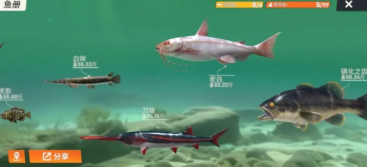 欢乐钓鱼大师免费版图4