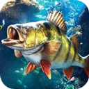 欢乐钓鱼大师免费版