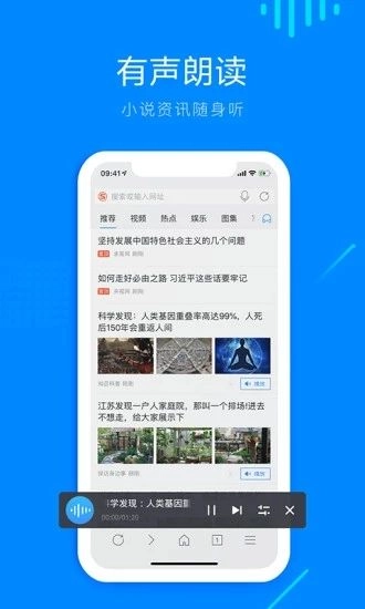 safari浏览器截图2