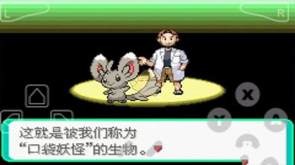 口袋妖怪：漆黑的魅影