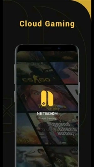 netboom图3