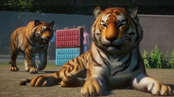 动物园之星2026正版截图3