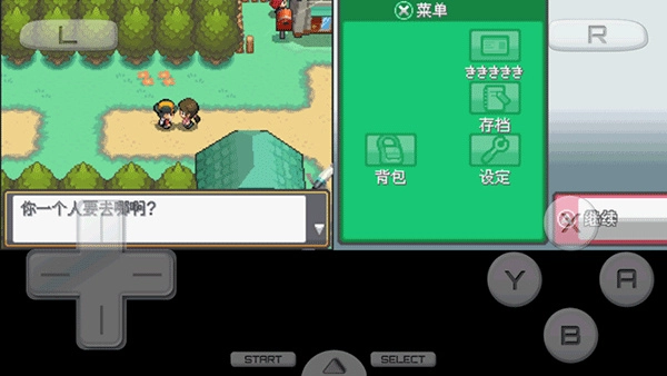 口袋妖怪心金(2)