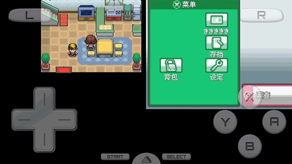 口袋妖怪心金(1)