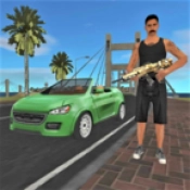 迈阿密猎车手(Miami Crime Simulator)