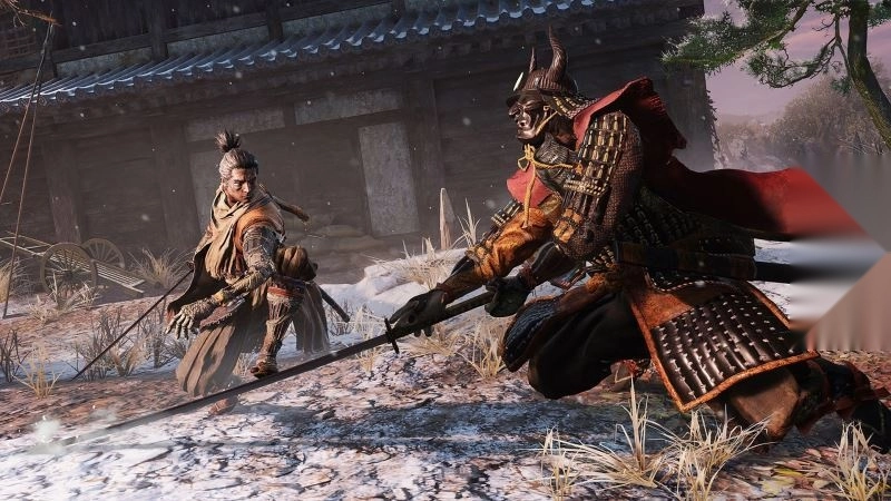 只狼影逝二度图4