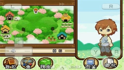 牧场物语双子村汉化版图3