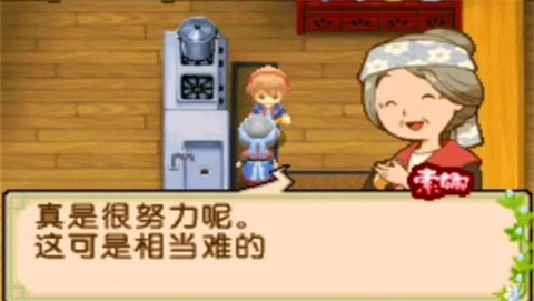 牧场物语双子村汉化版图4