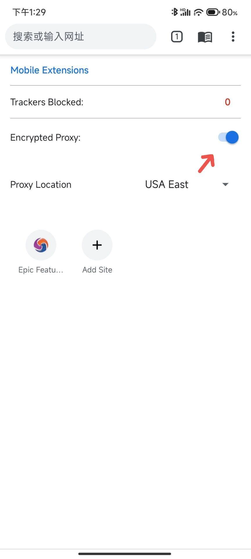 Epic浏览器截图2