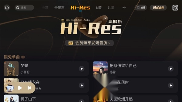 酷狗音乐概念版