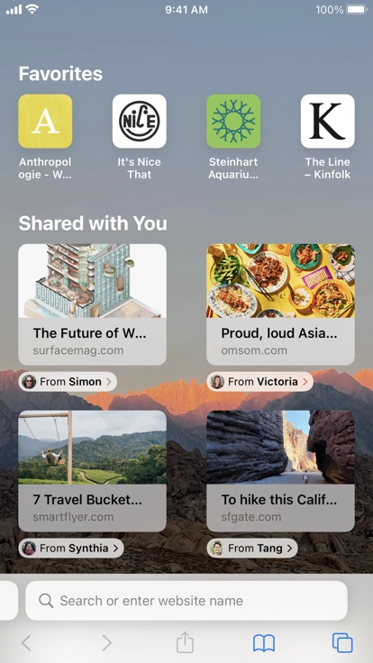 safari浏览器安卓最新版截图1
