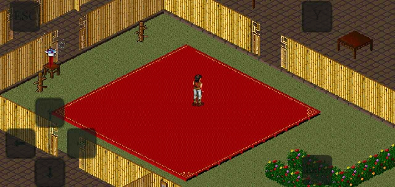 金庸群侠传苍龙逐日安卓版图3