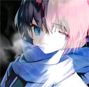 伊兰弱网内部版