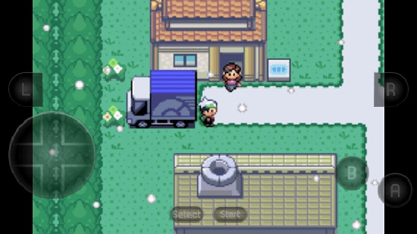 口袋妖怪革命宝石图3