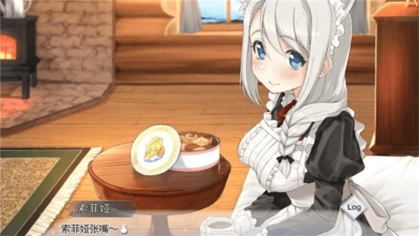 我与索菲亚的秘密图3