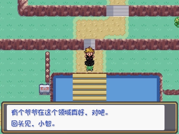 口袋妖怪燃之智-图2