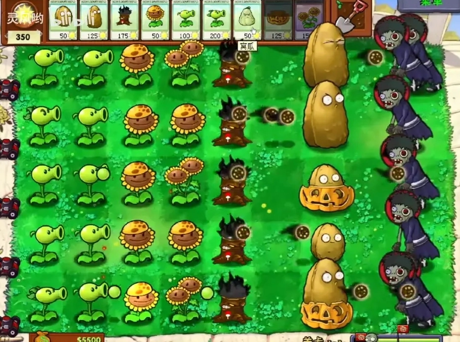植物大战僵尸火影版图3