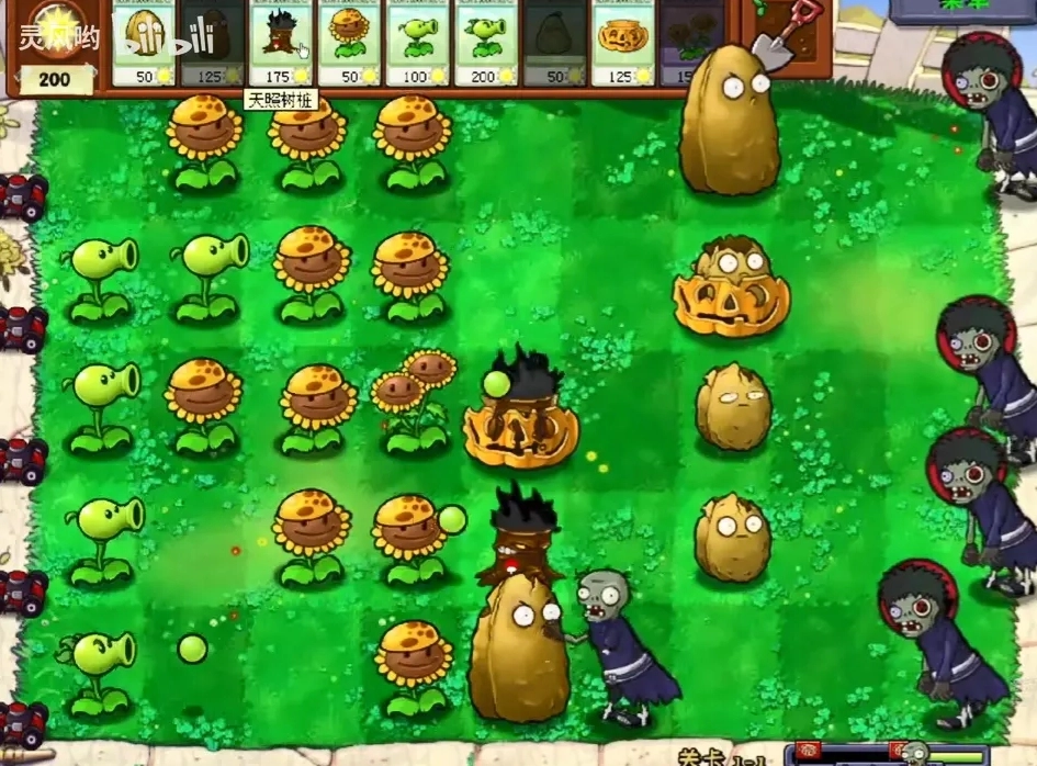 植物大战僵尸火影版图1
