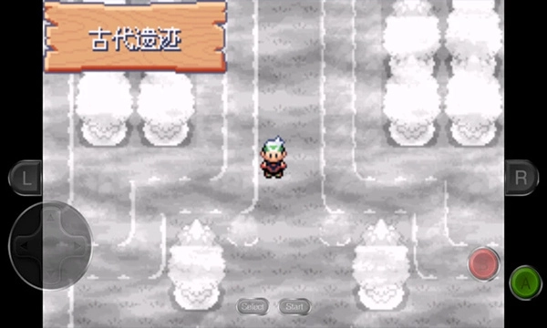 口袋妖怪永恒之沫(1)