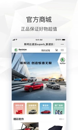 斯柯达截图1