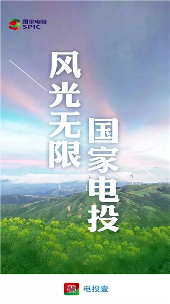 电投壹手机版(1)