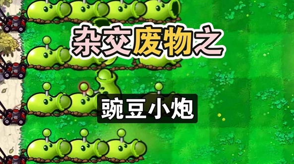 废物大战僵尸安装最新版图5