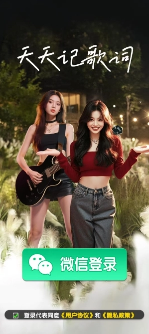 天天记歌词正版图1