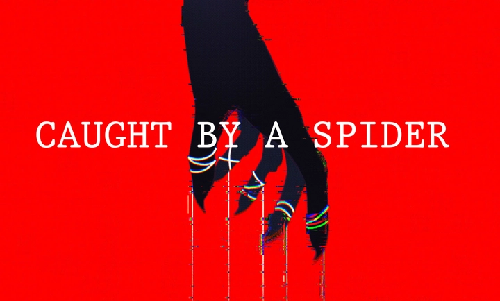 被蜘蛛抓住了中文版图1