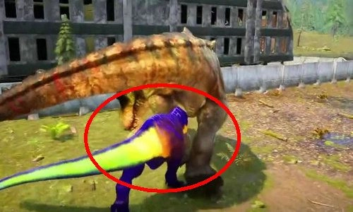 龙岛异兽起源(4)