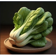 老谭酸菜tv盒子