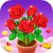 富贵花开正式版