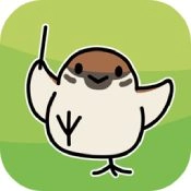 鸟之音Tori no Oto