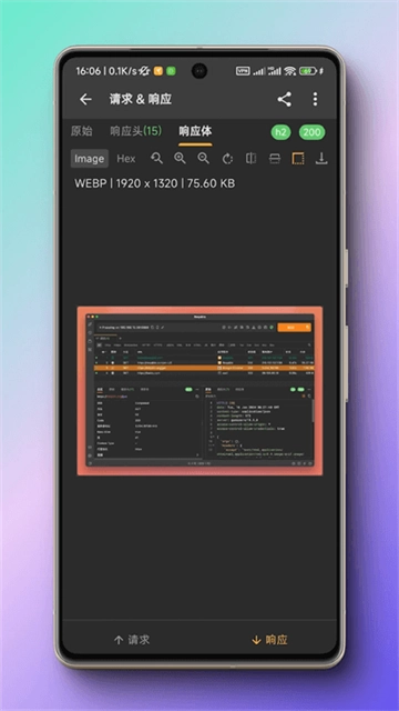 黄鸟抓包蓝色版(3)