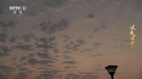 橙子电视直播tv版截图3