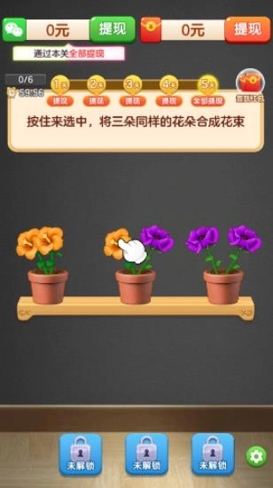 花开好运