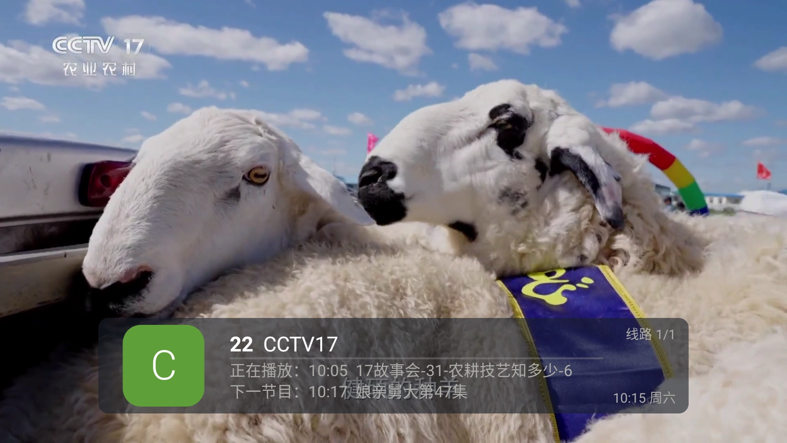 环边直播tv最新版截图1